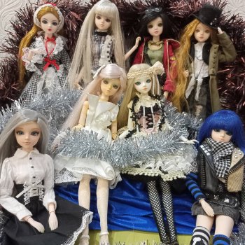 Зимняя перепись джеек