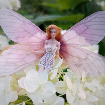 Лето - волшебное время фей✨🧚🏻‍♀️