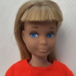 Скиппер Skipper  1963