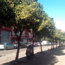 С первым днём зимы