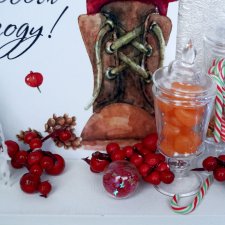 Новый год для Золушки