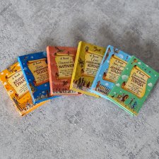 Мини книги серии "Изумрудный город" в новых обложках (масштаб 1:6)