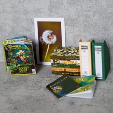 Зелёный декоративный набор №1 (масштаб 1:6)