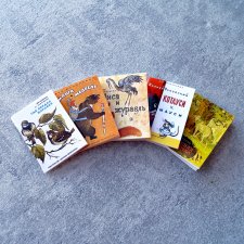 Набор детских книг №4 (в масштабе 1:6)