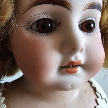 Определить принадлежность куколки