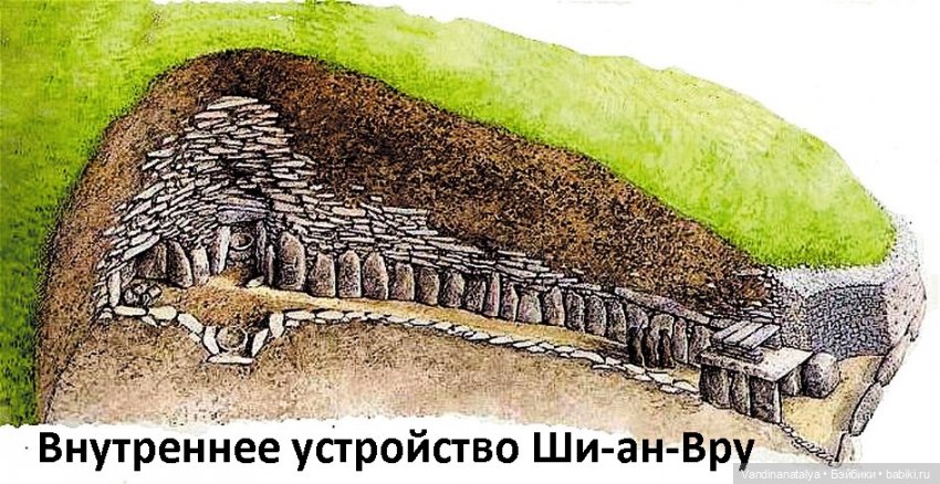 ПрЫнцесса на бобах — Другие хобби и увлечения: сад