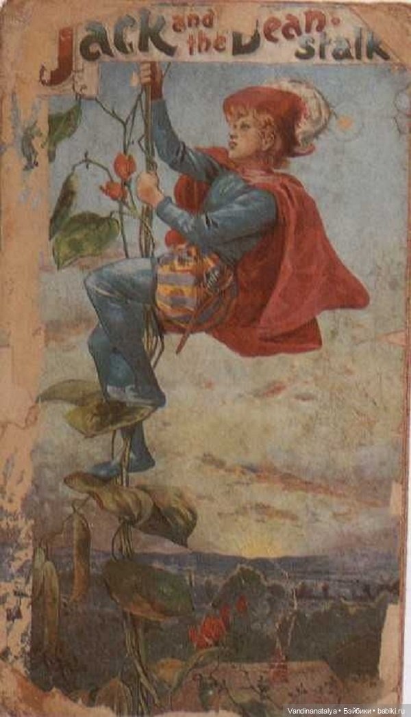 ПрЫнцесса на бобах — Другие хобби и увлечения: сад (фото 2)