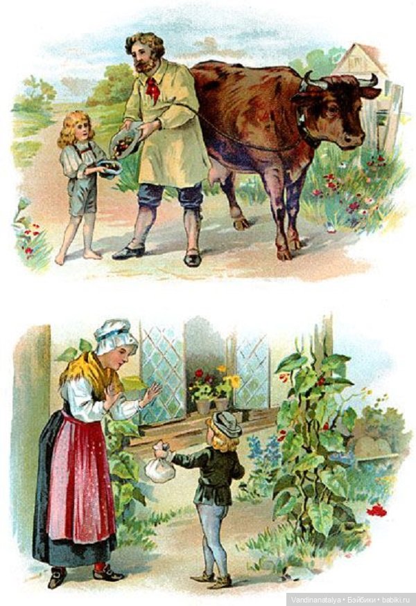 ПрЫнцесса на бобах — Другие хобби и увлечения: сад (фото 4)