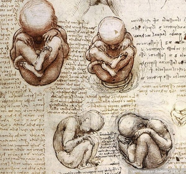 ПрЫнцесса на бобах — Другие хобби и увлечения: сад