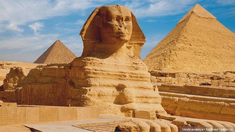 Коты мартовские — Интересное и необычное: фотоподборки