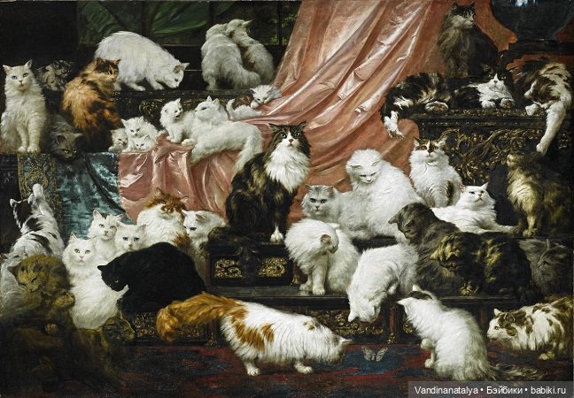 Коты мартовские — Интересное и необычное: фотоподборки (фото 2)