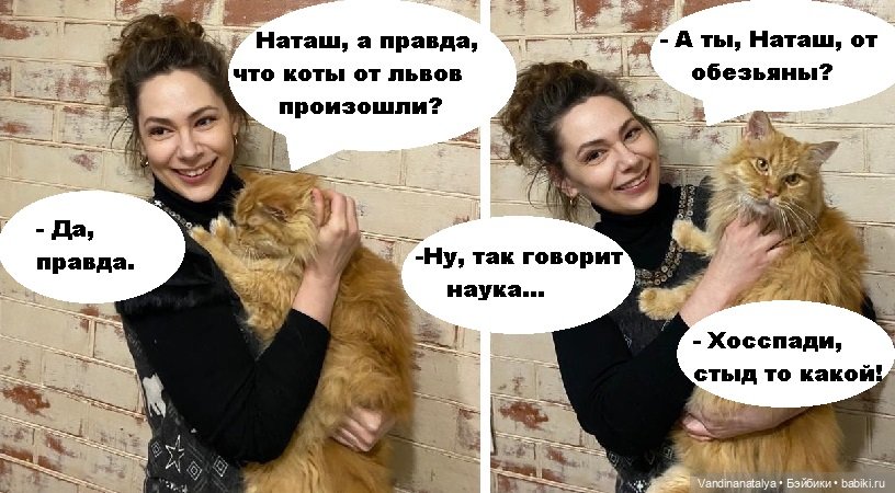 Коты мартовские — Интересное и необычное: фотоподборки (фото 8)