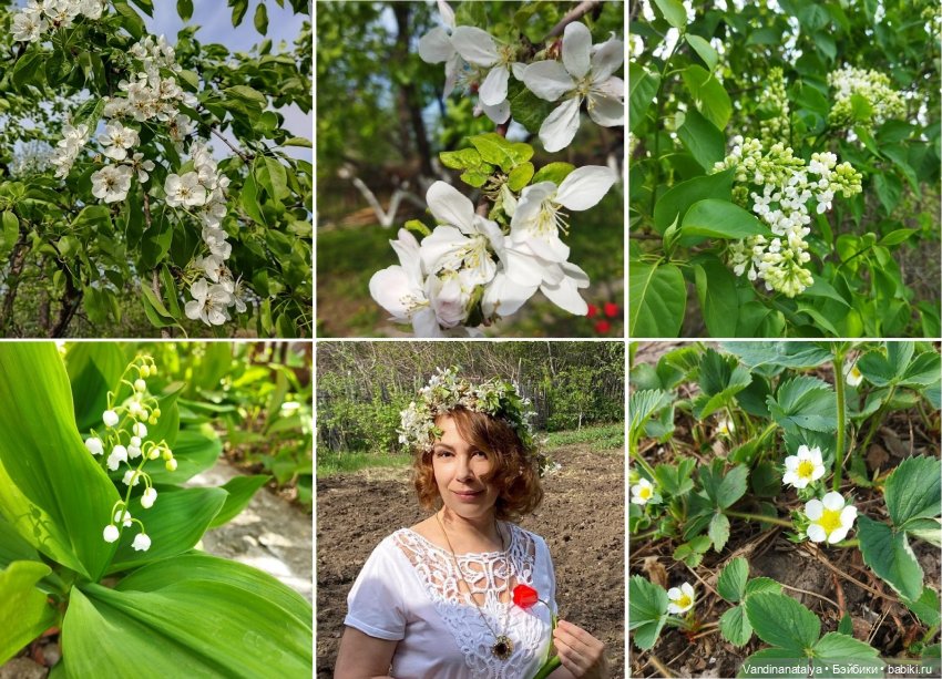 Встречаем Первомай! Белые начинают