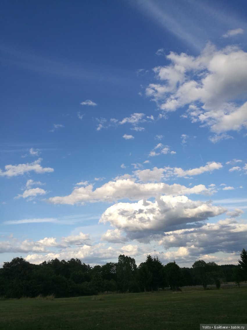 Клубнички или по дороге с облаками (фото 7)