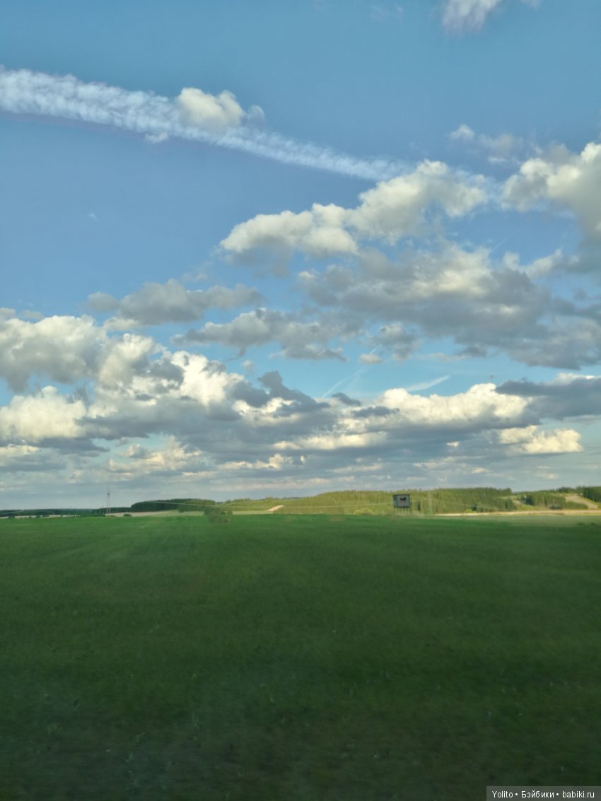 Клубнички или по дороге с облаками (фото 8)