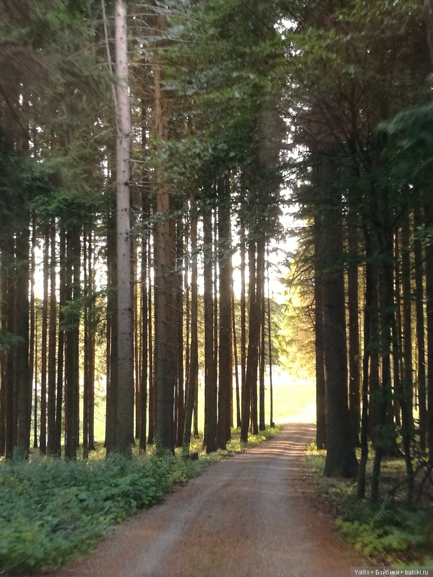 Клубнички или по дороге с облаками (фото 9)