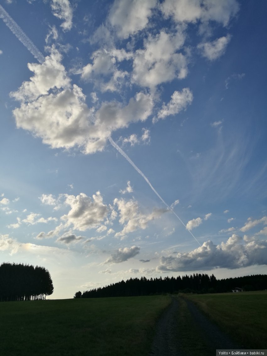 Клубнички или по дороге с облаками (фото 6)