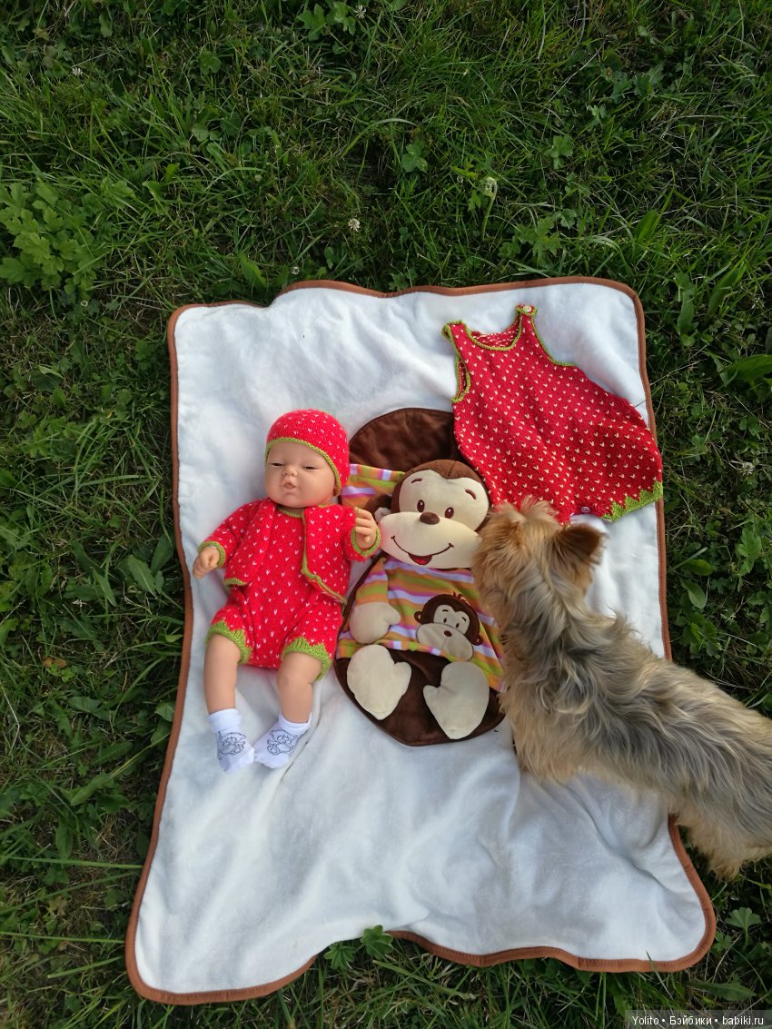 Клубнички или по дороге с облаками (фото 5)