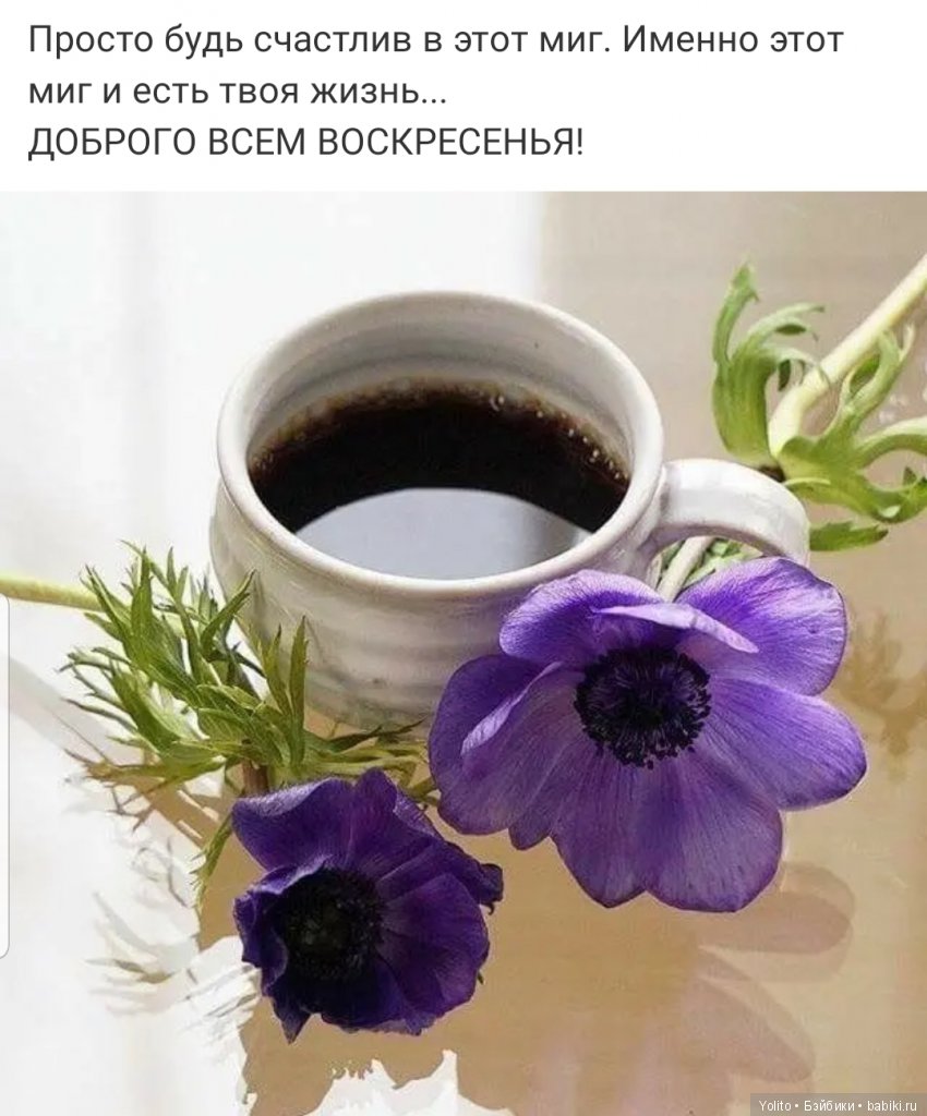 Не ходите девки по утру гулять или внезапная покупка