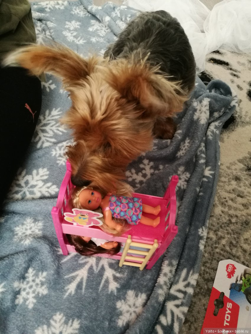 Улов дня — Болталка и разговоры обо всем: жизнь (фото 5)