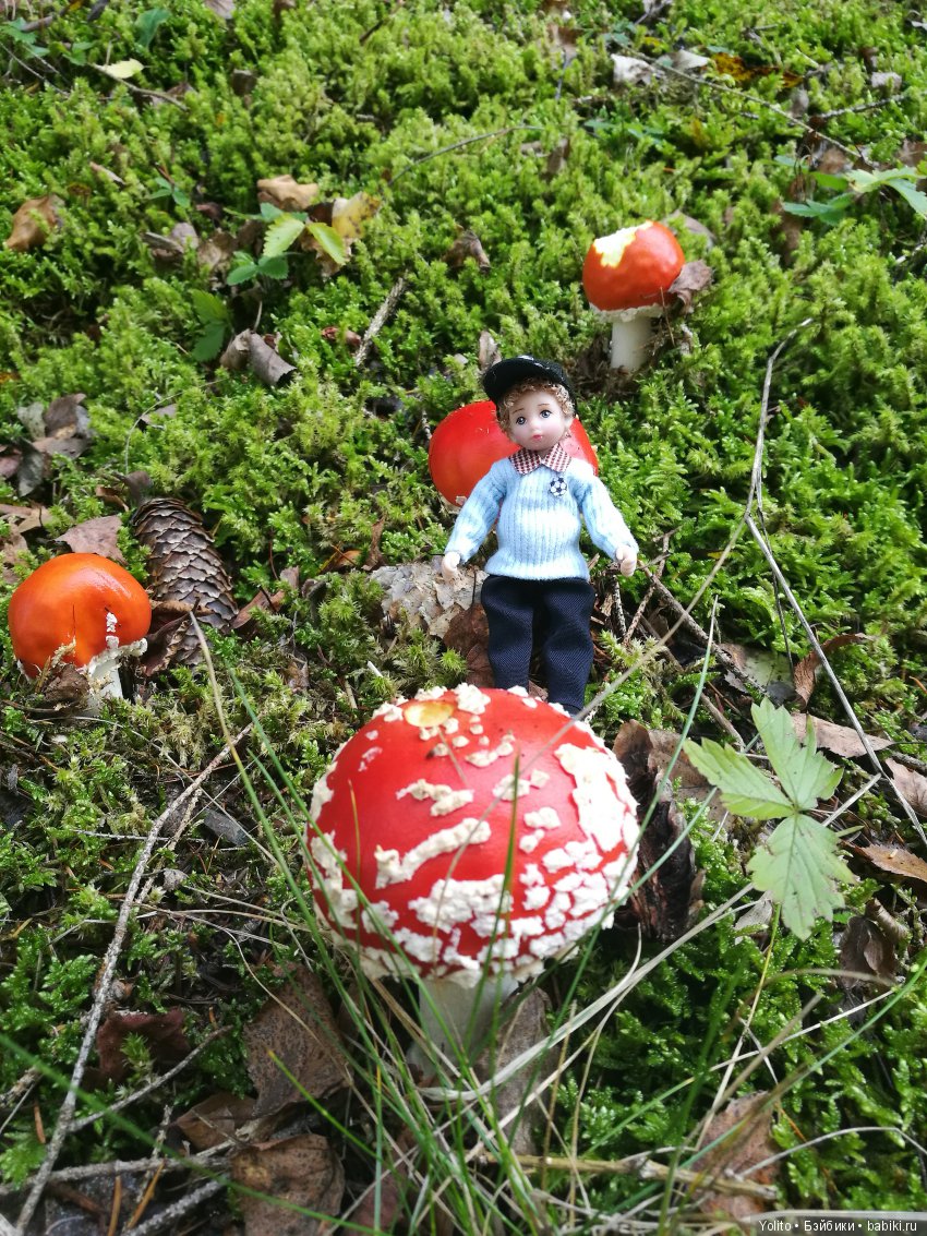 Саймэн на прогулке — Зарисовки из кукольной жизни: фотоистории (фото 6)