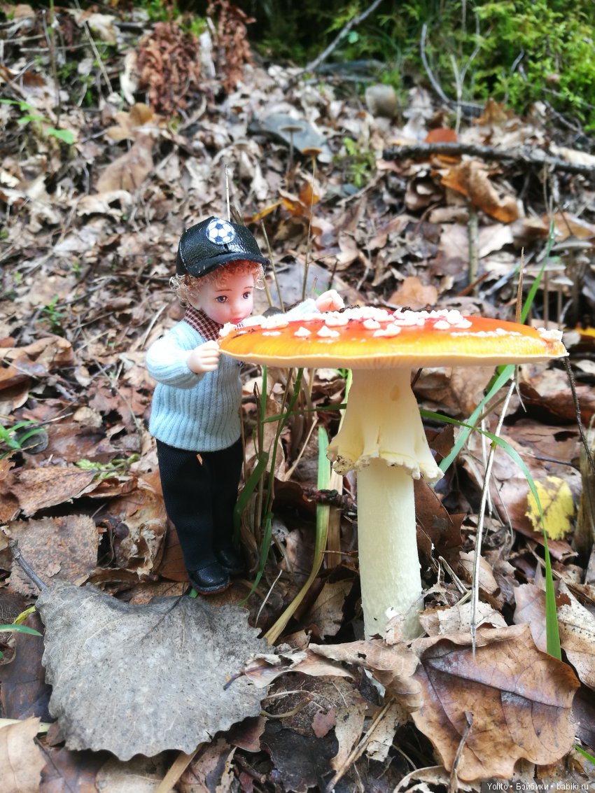 Саймэн на прогулке — Зарисовки из кукольной жизни: фотоистории (фото 9)