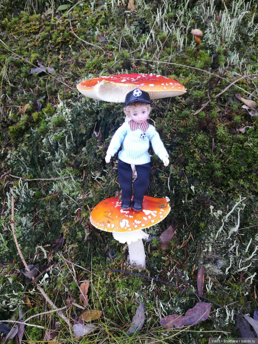 Саймэн на прогулке — Зарисовки из кукольной жизни: фотоистории (фото 3)