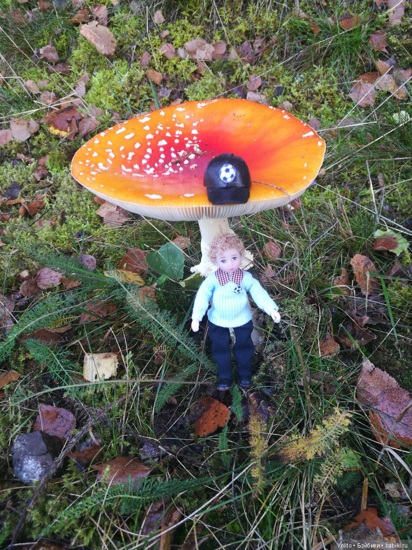 Саймэн на прогулке — Зарисовки из кукольной жизни: фотоистории (фото 5)