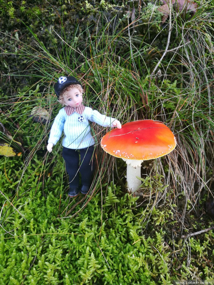 Саймэн на прогулке — Зарисовки из кукольной жизни: фотоистории