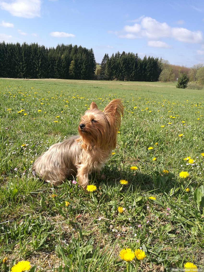 Катя, Катерина, свет душа (фото 9)