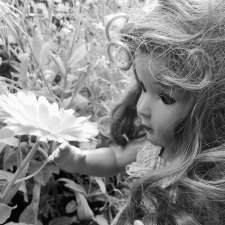 Мы выбираем, нас выбирают. Преображение