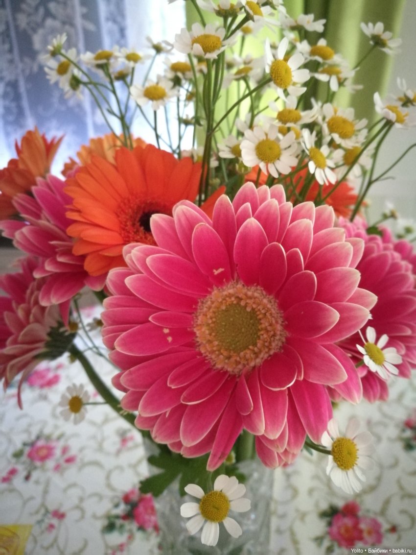 Чтоб наши желания совпадали с нашими возможностями