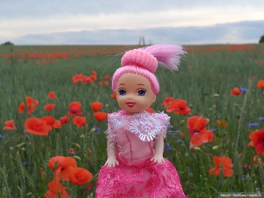 Прогулка по маковому полю