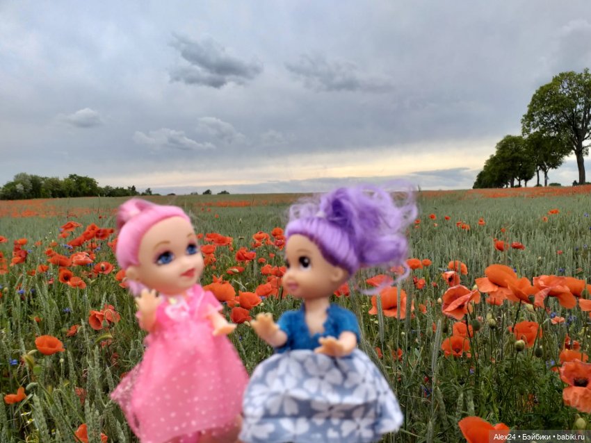 Прогулка по маковому полю (фото 8)