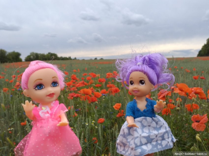 Прогулка по маковому полю (фото 6)