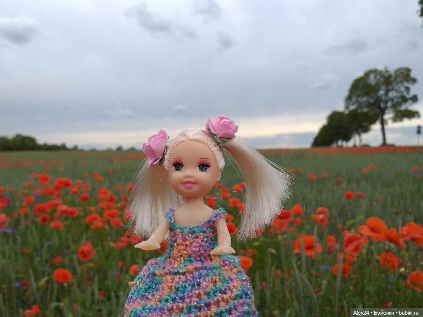 Прогулка по маковому полю (фото 2)