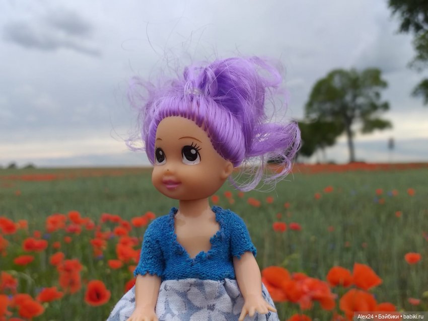 Прогулка по маковому полю (фото 7)