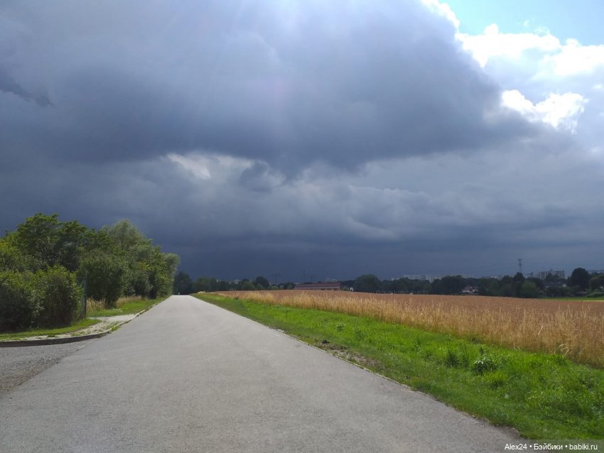 Перед грозой | Бэйбики Перед грозой — Болталка и разговоры обо всем: жизнь (фото 2)