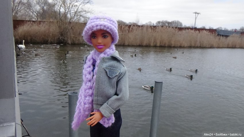 Странная девушка — Куклы Barbie (Барби): Looks