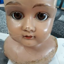 Schildkröt: целлулоидная масса для ремонта, знакомо?