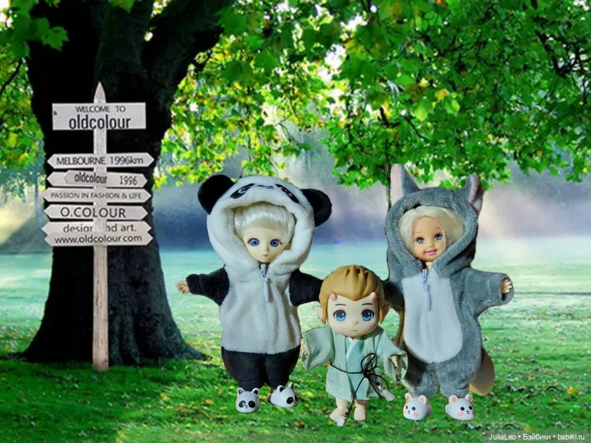 Маленький Деманг — Куклы и тела Obitsu 11 (Ob11): гибриды (фото 5)