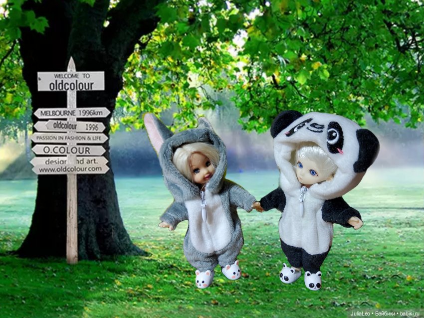 Маленький Деманг — Куклы и тела Obitsu 11 (Ob11): гибриды (фото 3)