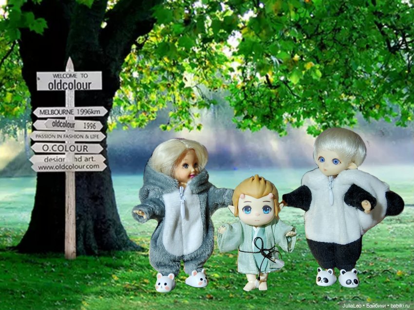 Маленький Деманг — Куклы и тела Obitsu 11 (Ob11): гибриды (фото 6)