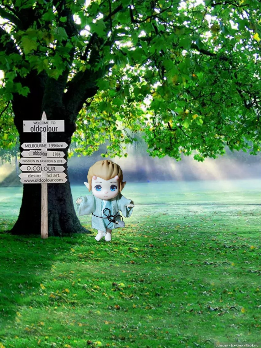 Маленький Деманг — Куклы и тела Obitsu 11 (Ob11): гибриды (фото 4)