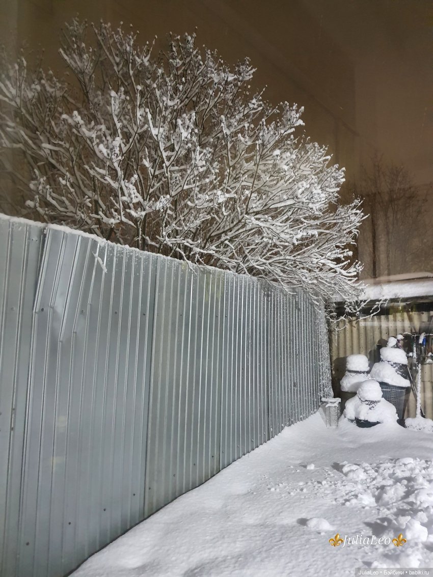 Размышлизмы... Часть 1. Приехали или "Здравствуйте, уважаемые Грабли!"