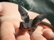 "Миры Безвременья". Часть II. Тайна Драконов. Глава 7. И каждый пред Судом предстанет (фото 4)