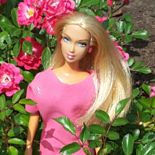 Топ-модель Сиенна