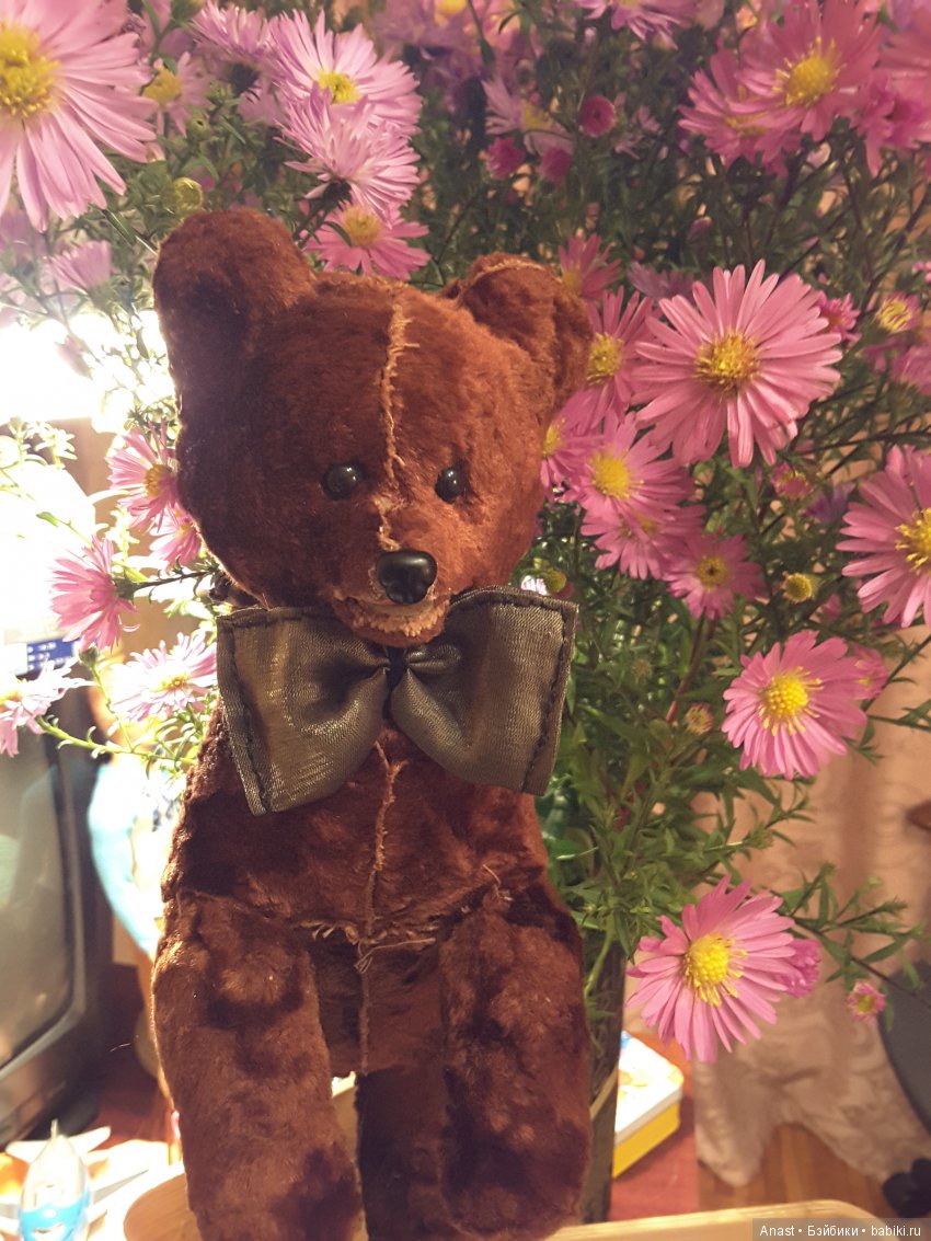 Мишка из Советского Союза (фото 3)