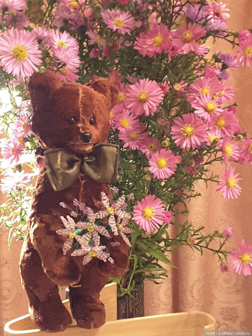 Мишка из Советского Союза (фото 6)