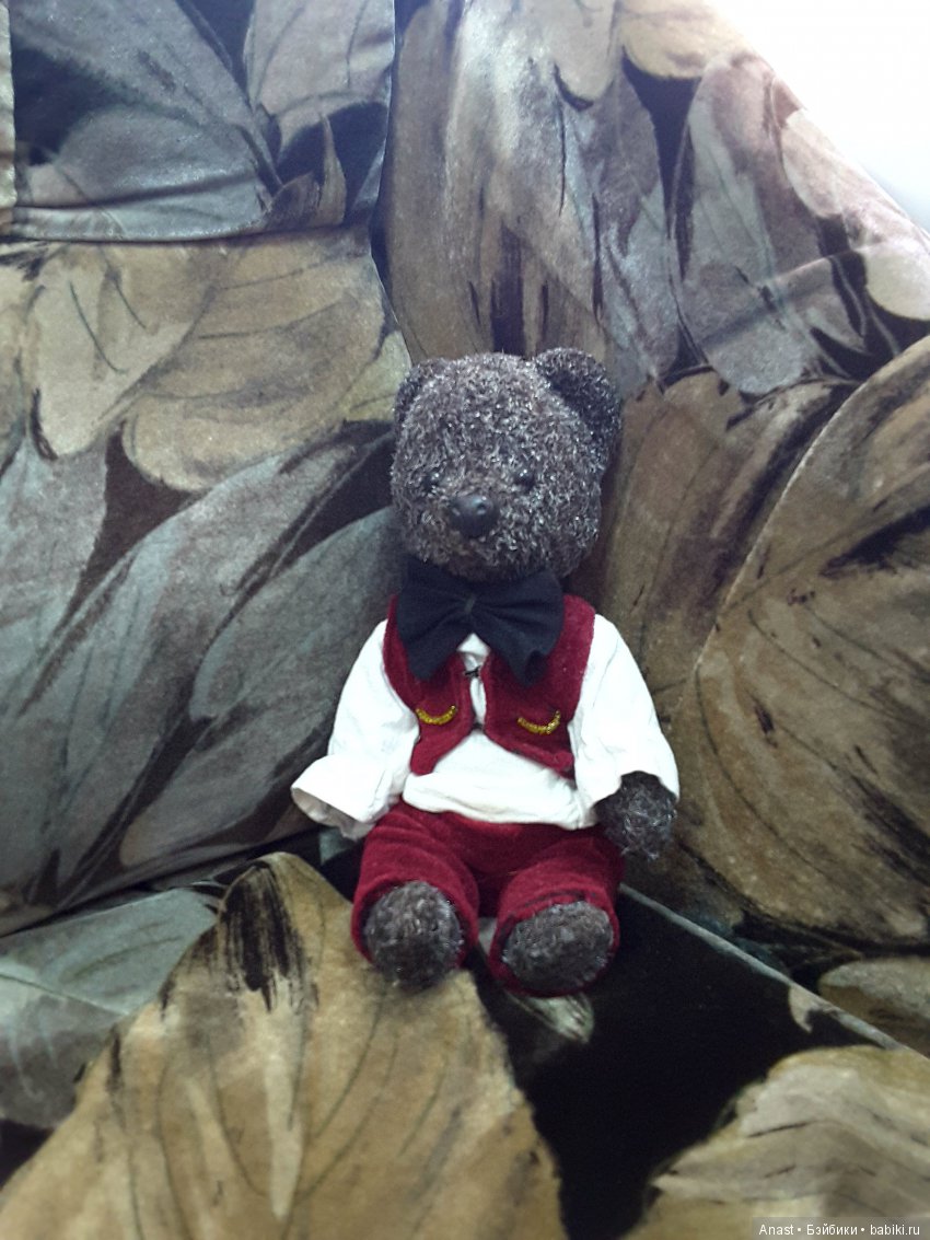 Знакомьтесь, медведь по имени Ров (фото 2)